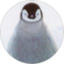 Charlotte Wan Charlotte Wan